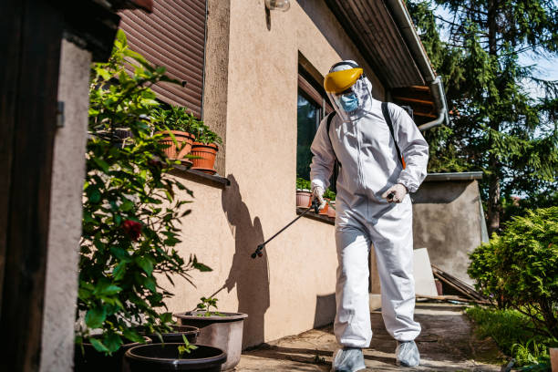 Best Affordable Pest Control Services  in Mahomet, IL