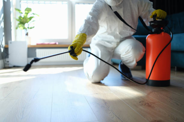 Best Best Pest Control Companies  in Mahomet, IL