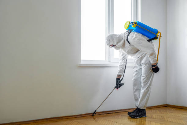 Best Best Pest Control Companies  in Mahomet, IL