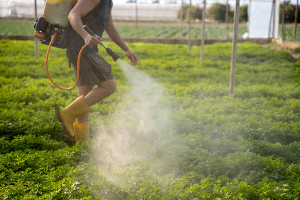 Best Best Pest Control Companies  in Mahomet, IL