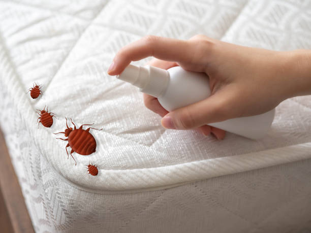 Flea Control Services in Mahomet, IL