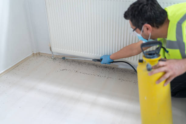 Best Cockroach Control Services  in Mahomet, IL