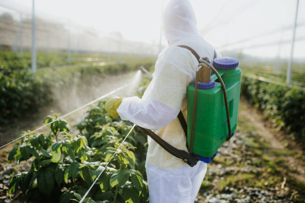  Mahomet, IL Pest Control Pros